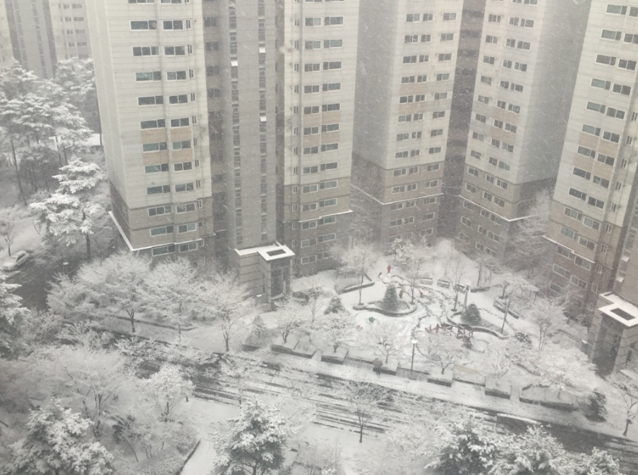 Gangdong-snow4